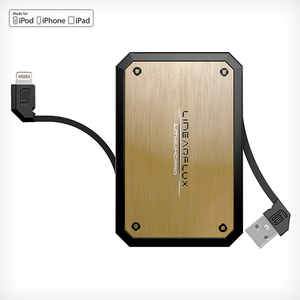 LithiumCard PRO — with Apple Lightning connector